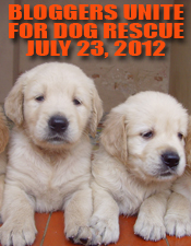 Bloggers Unite for Dog Rescue